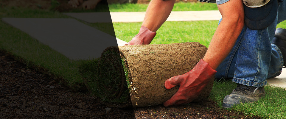 Lilburn Landscapers
